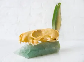 20% SALE Real Mink Skull Crystal Throne with Green Fluorite Point and Real Parrot Feather