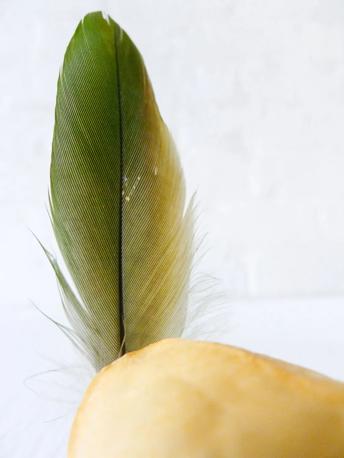 20% SALE Real Mink Skull Crystal Throne with Green Fluorite Point and Real Parrot Feather