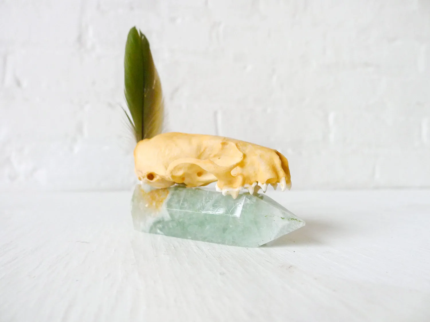 20% SALE Real Mink Skull Crystal Throne with Green Fluorite Point and Real Parrot Feather