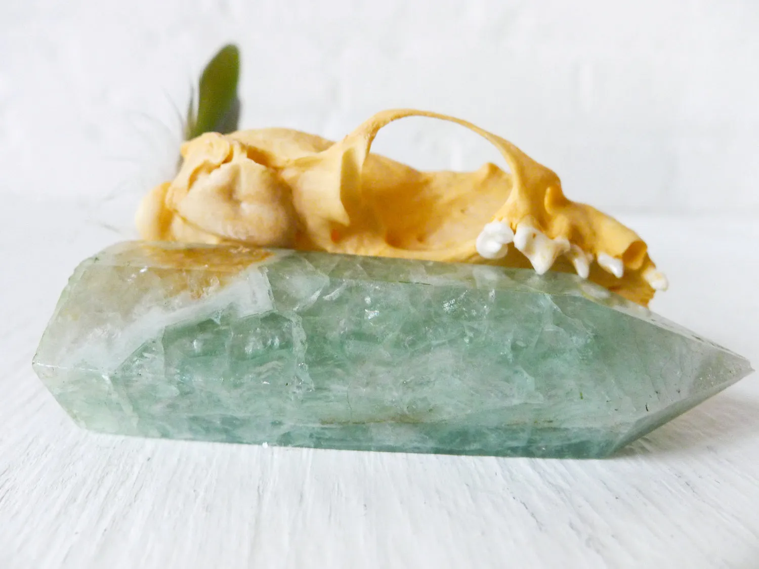 20% SALE Real Mink Skull Crystal Throne with Green Fluorite Point and Real Parrot Feather