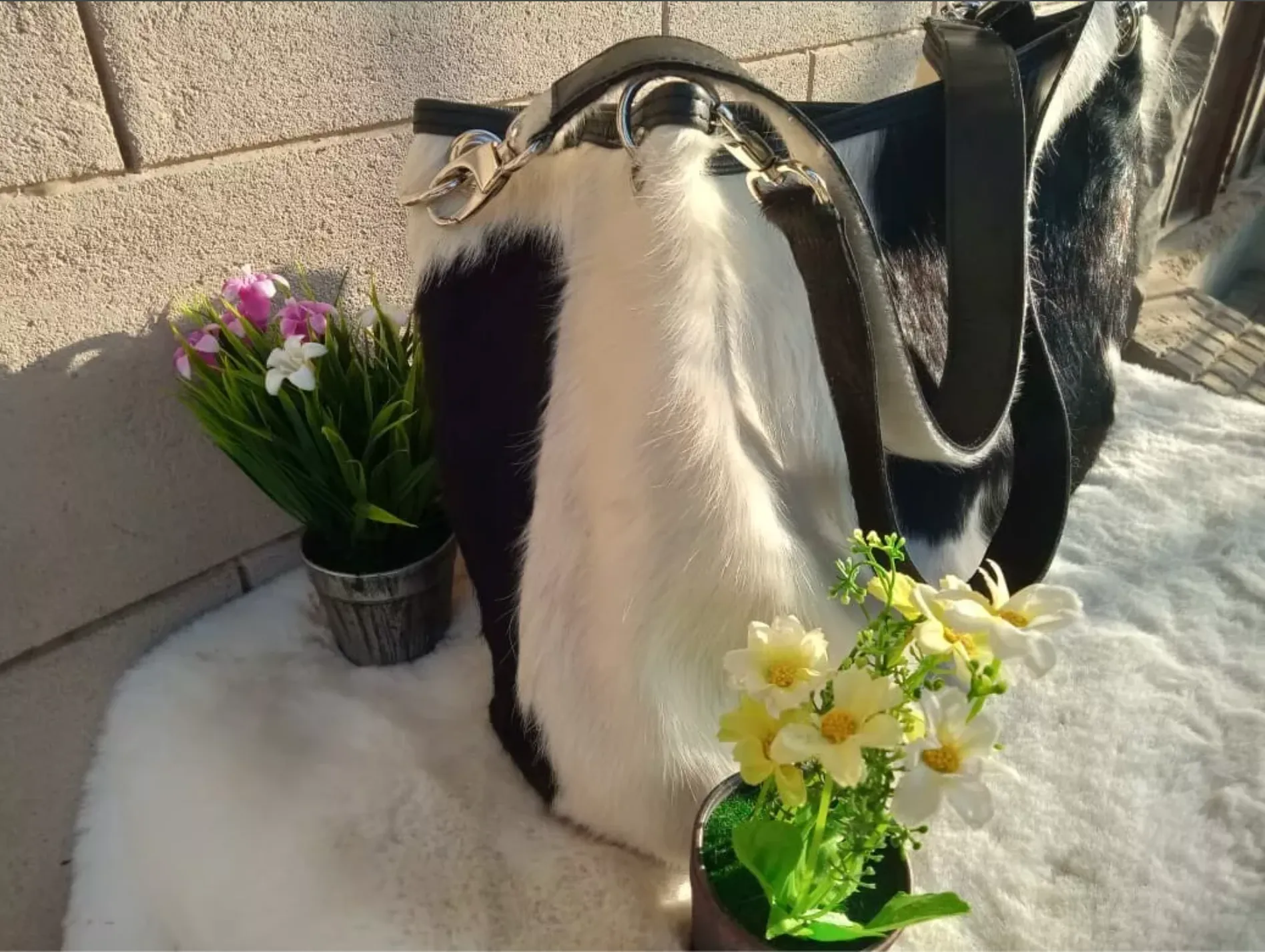 Black White Genuine Cowhide Shopper Purse