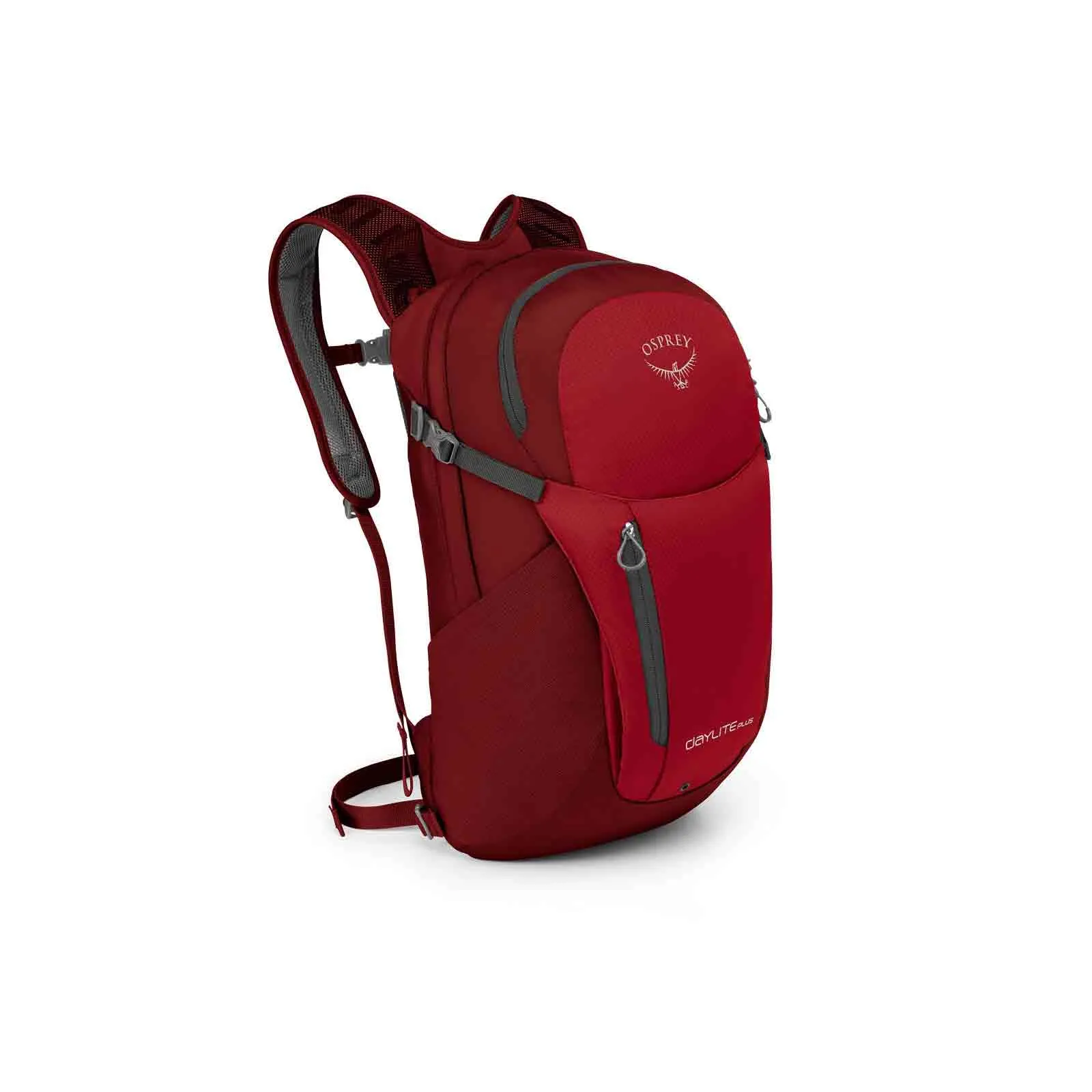Daylite Plus