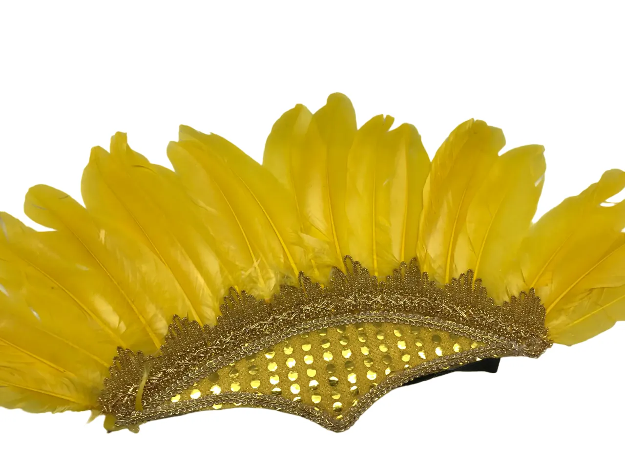 Feathered Headdress