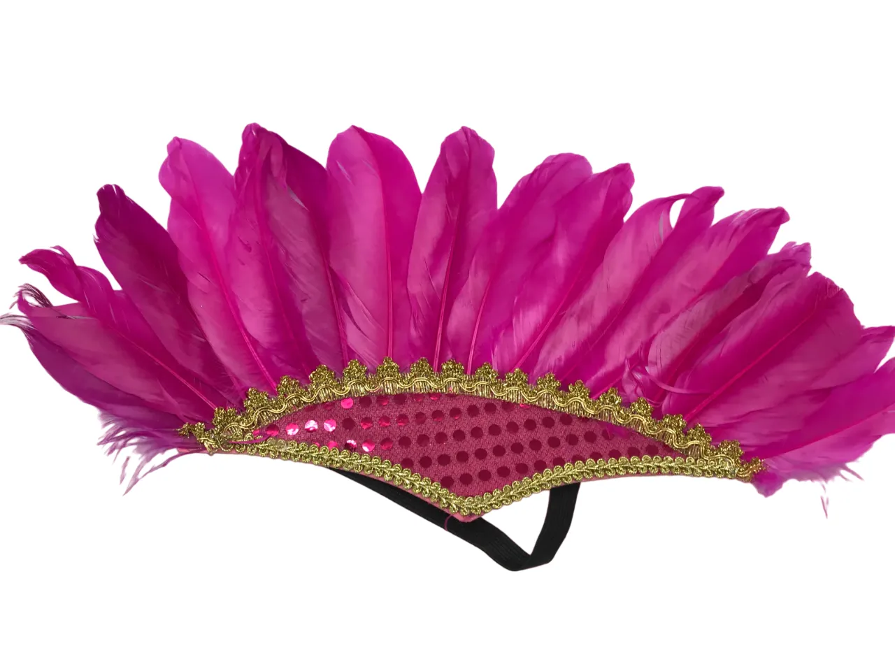 Feathered Headdress