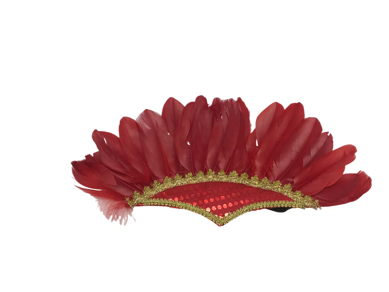 Feathered Headdress