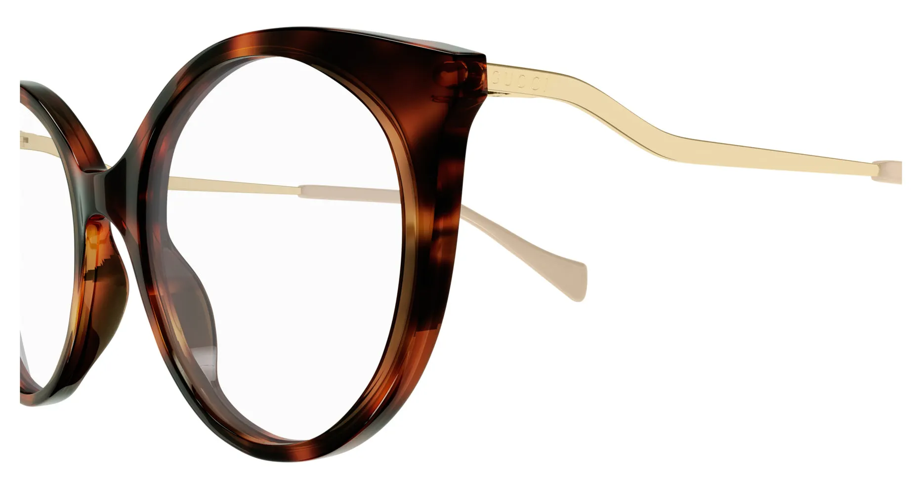 Gucci GG1009O